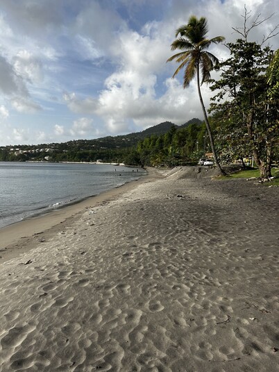 Spacious 4-bedroom residence featuring a ground floor apartment.
