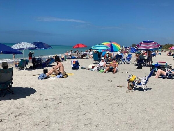 Playa en los alrededores y camastros 