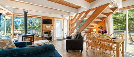 Smart TV, DVD player, books, video library