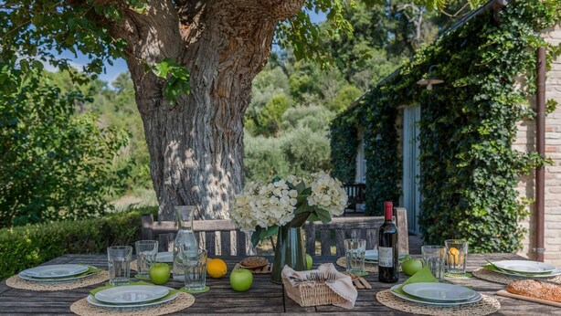A rustic outdoor dining table set with plates, glasses, and a bottle, surrounded by greenery and a large tree. - Casa Antonio - Private villa, 4 bedrooms, pool, A/C, wifi, pets, Marche (Mogliano)