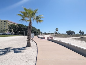 Une plage de sable avec un palmier et un panneau indiquant l’Ocean Club.