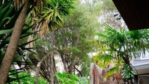 A garden pathway with various tropical plants and a wooden fence in the background. - Retreat, short drive to Beach (Rye)