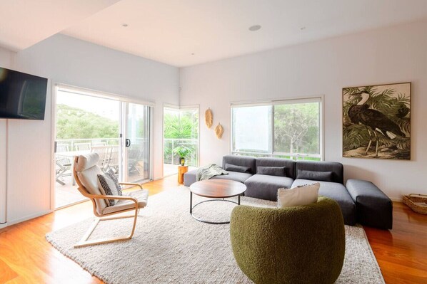 Smart TV, fireplace, stereo, computer monitors