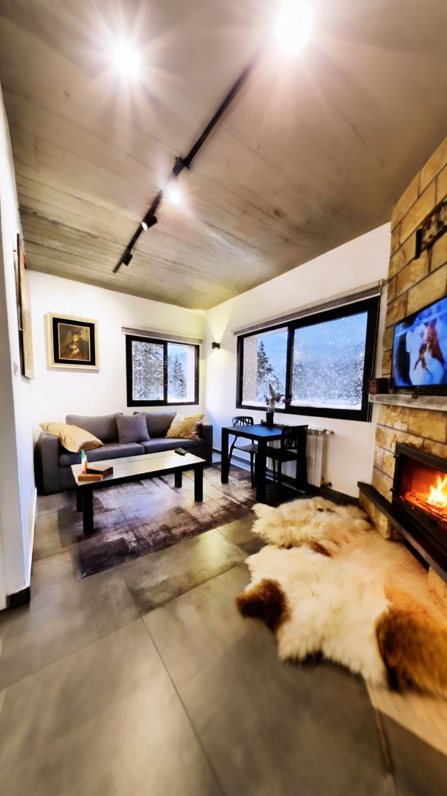 TV, fireplace