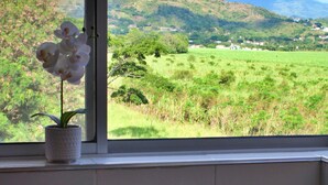 Eine Küche mit einem Gasherd und einem Fenster mit Blick auf eine grüne Landschaft.