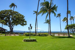 Condo (1 Bedroom) | View from room