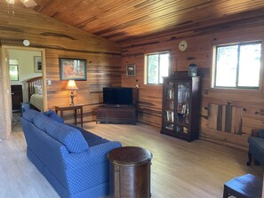 Smart TV, books - Cozy cabin overlooking Dillsboro and miles of mountains (Sylva/Dillsboro)