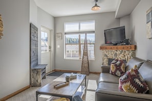 TV, fireplace, books