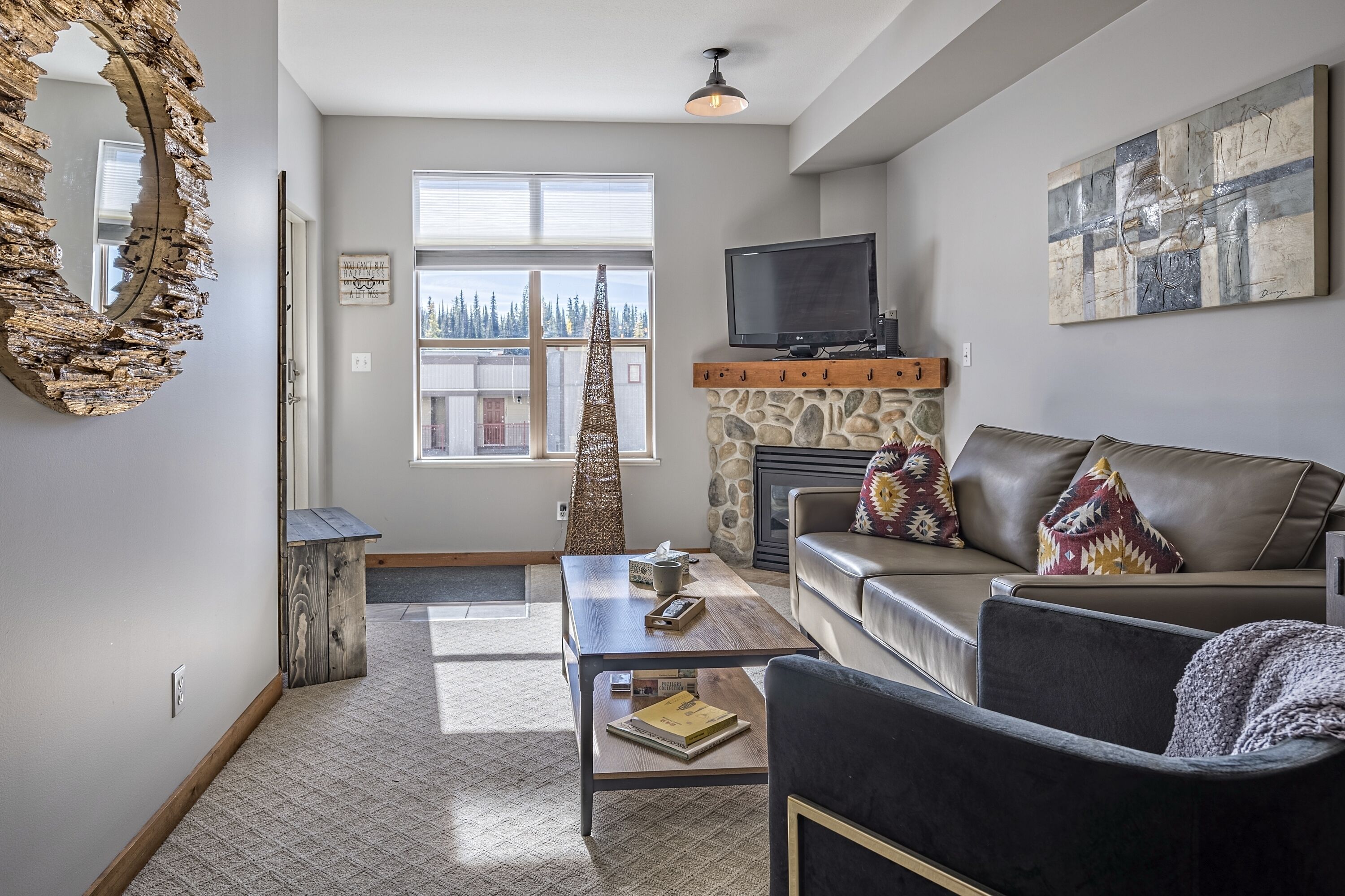 TV, fireplace, books