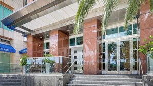 A modern building entrance with a glass door, a visible address number 244, and a palm tree in the foreground.