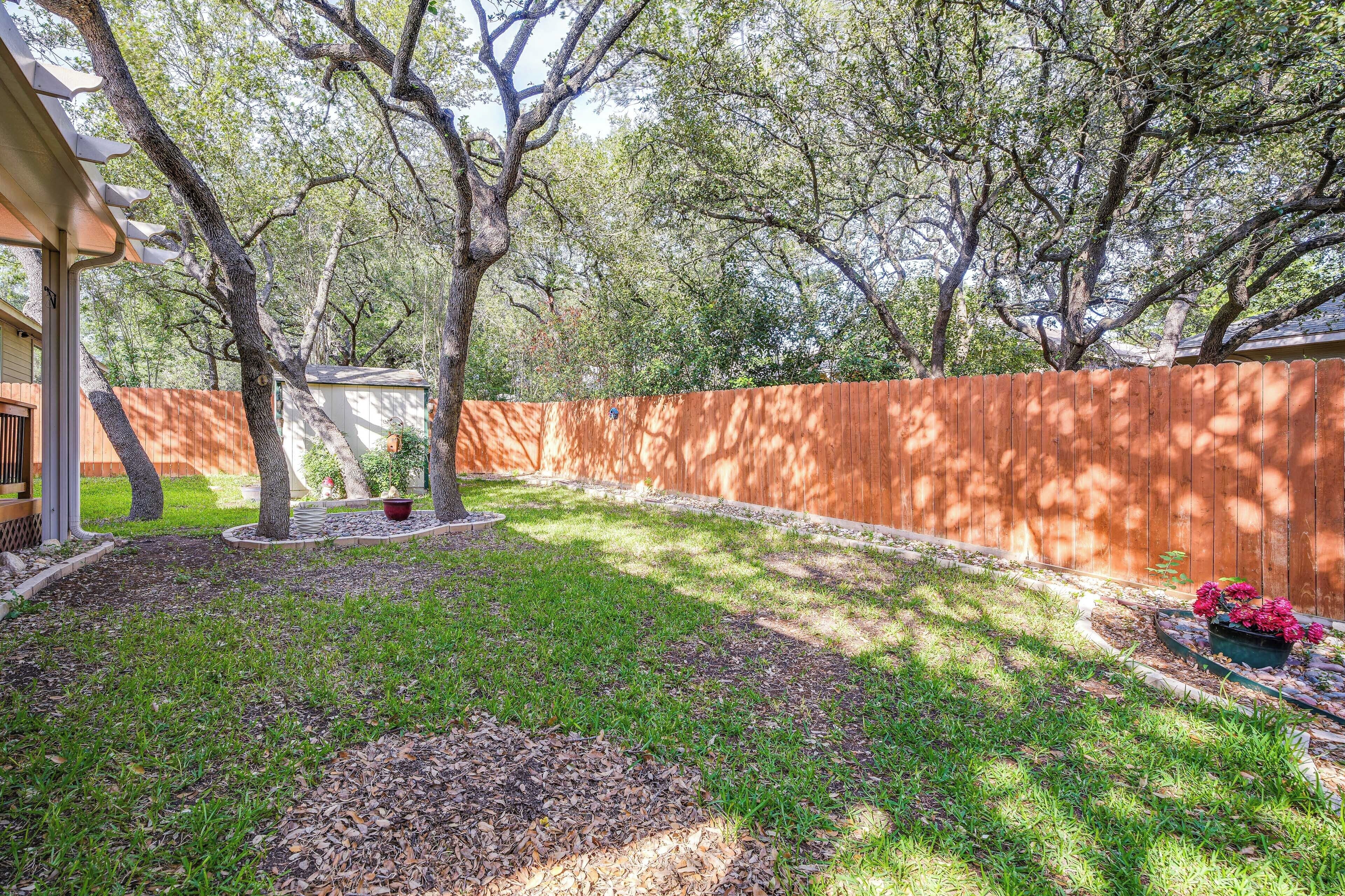 A backyard with a wooden fence, a lawn, and a tree.