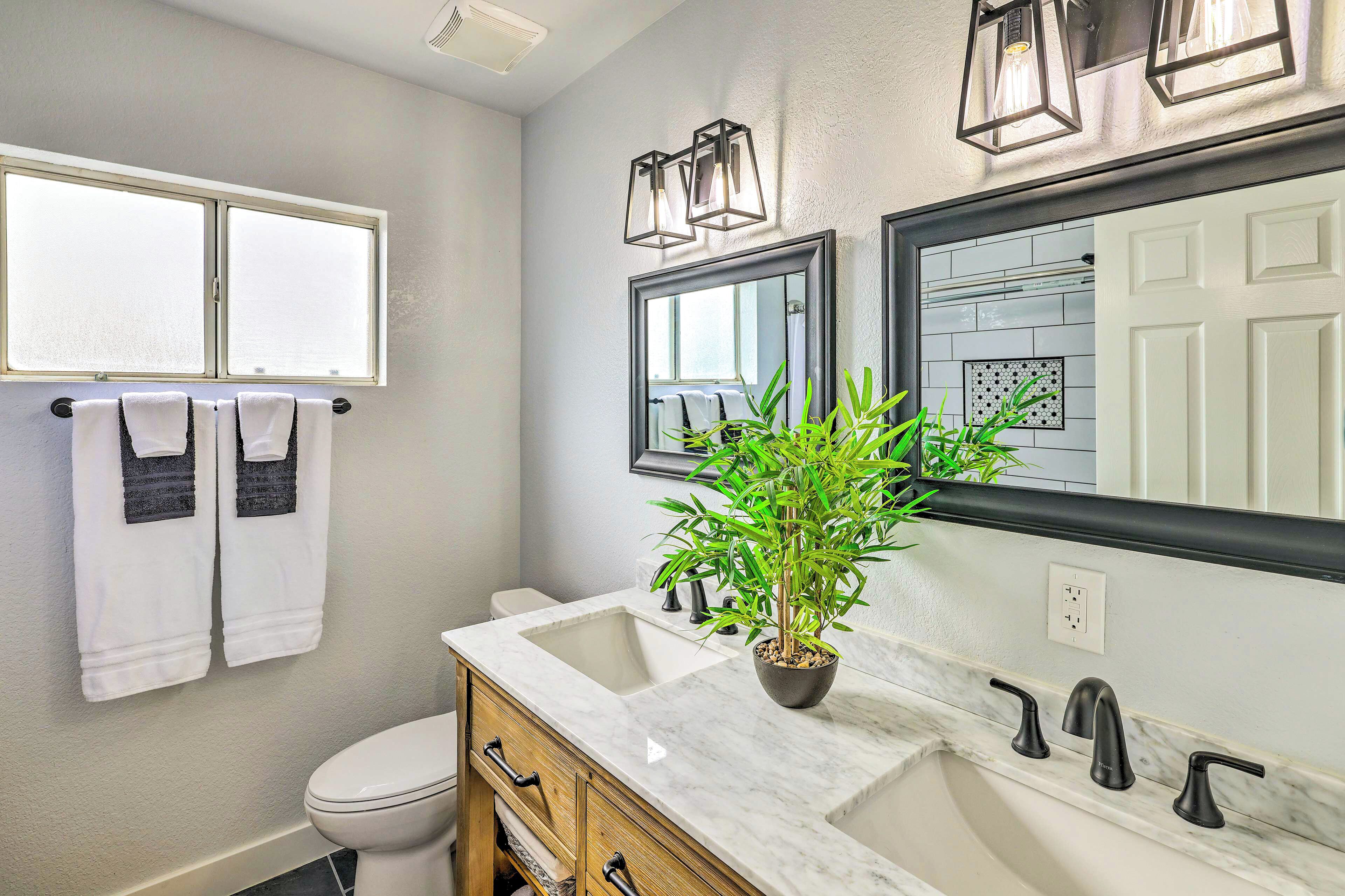 A bathroom with a white sink, black faucets, a potted plant, a window, and a mirror.