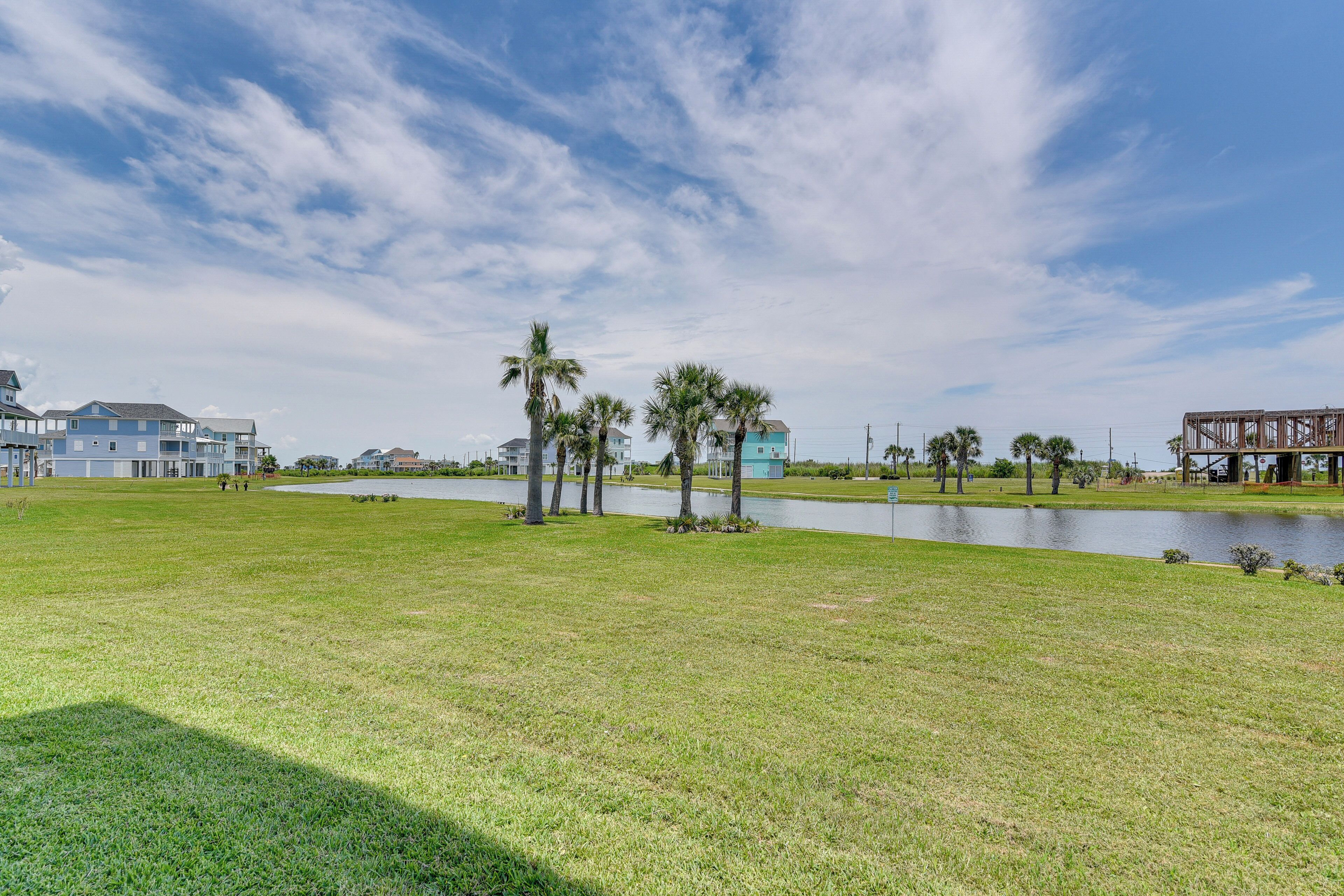 A grassy area with a body of water, palm trees, and buildings in the background.