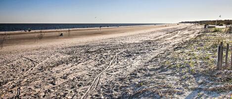 A beach with visible tire tracks and sparse vegetation.