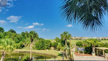 Appartement (2 Bedrooms) | Interieur