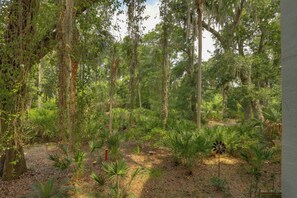 Apartment (2 Bedrooms) | Interior - Serene Hilton Head Island Condo w/ Community Pool! (Hilton Head Island)