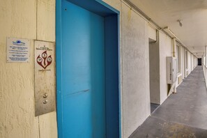 Lejlighed (0 Bedroom) | Interiør