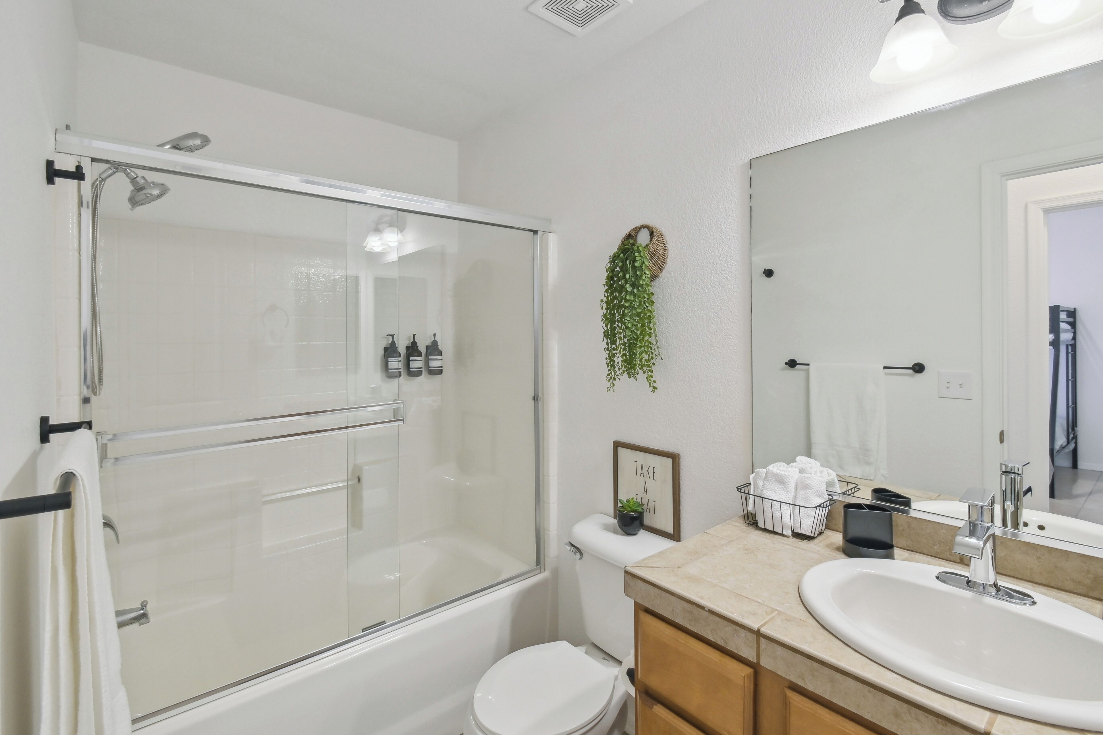 A bathroom with a glass-enclosed shower, a white toilet, a sink with a mirror, and a small potted plant on the counter.