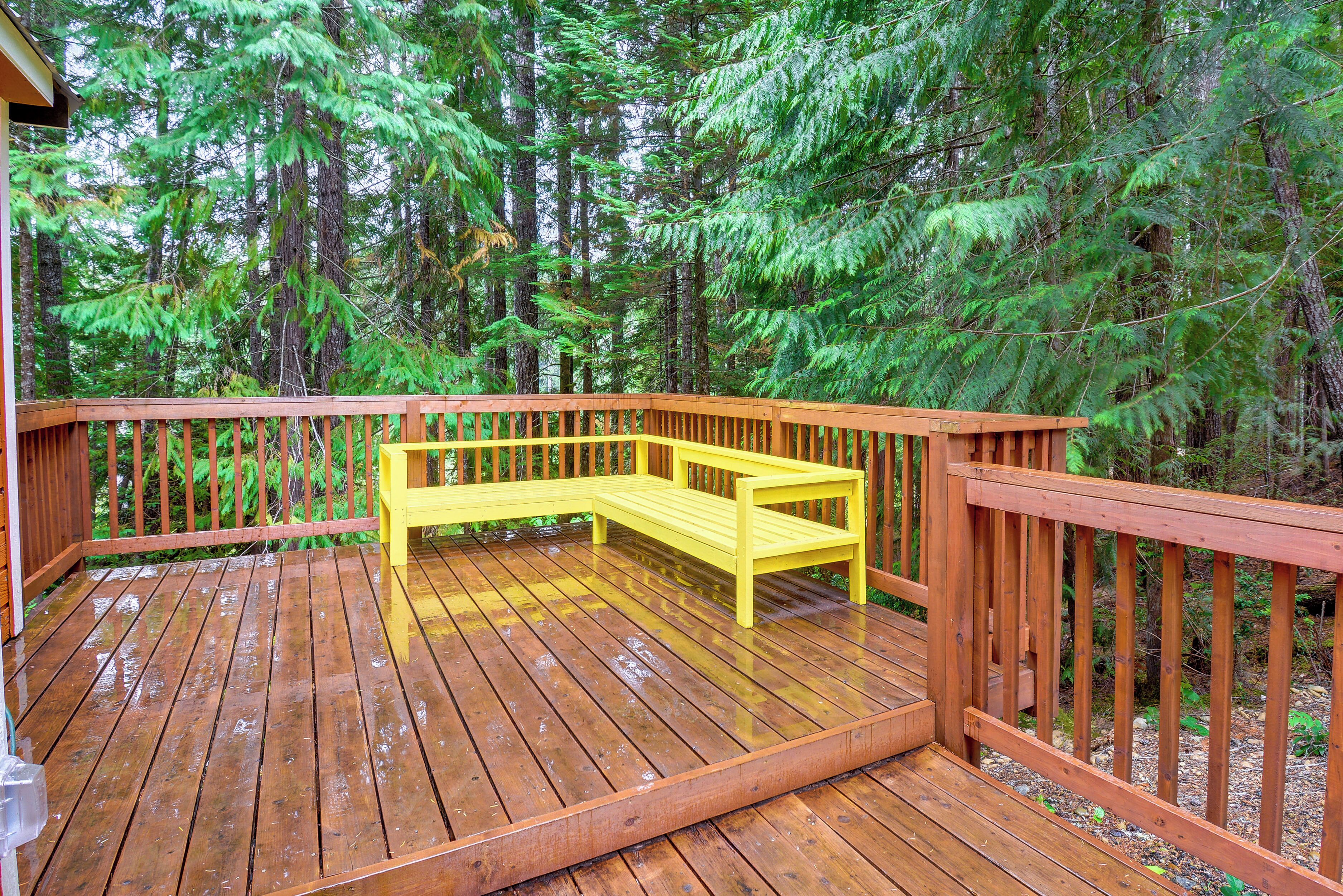 A wooden deck with a bench, surrounded by dense forest.