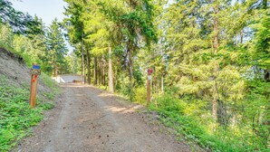 Un sendero de tierra que lleva a un edificio rodeado de bosque denso.