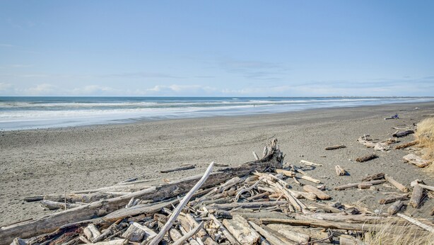 Ein Strand mit Treibholz und blauem Himmel.
