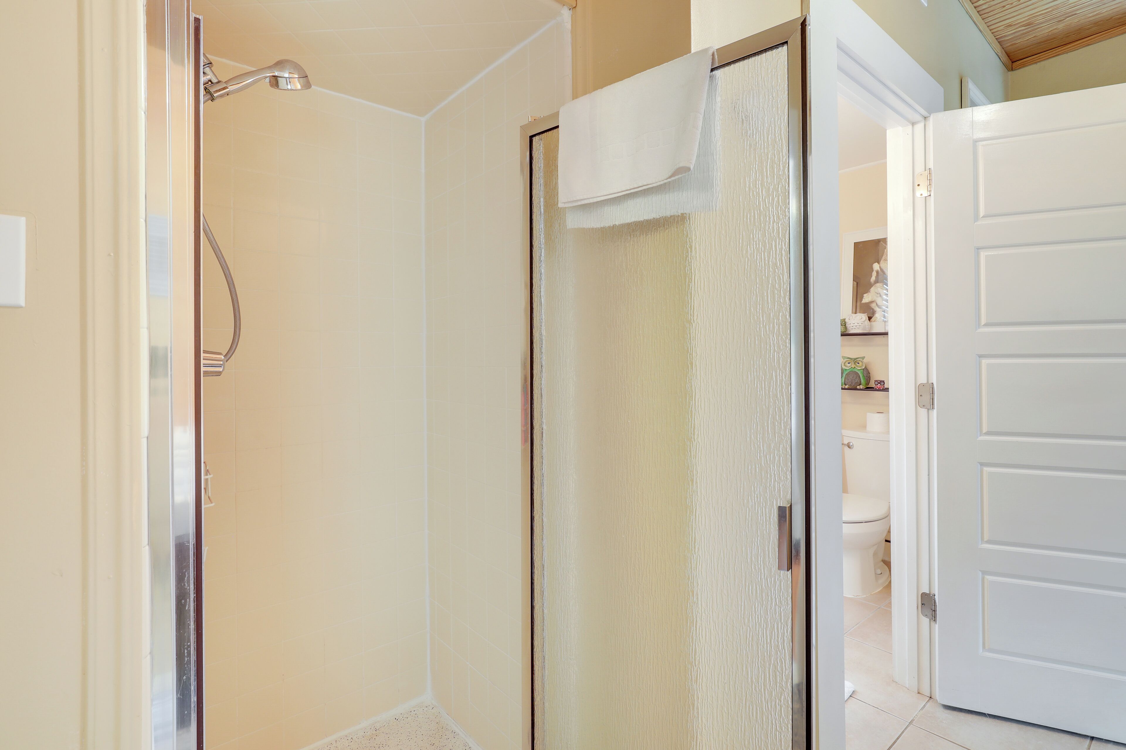 A bathroom with a shower, toilet, and a white door.