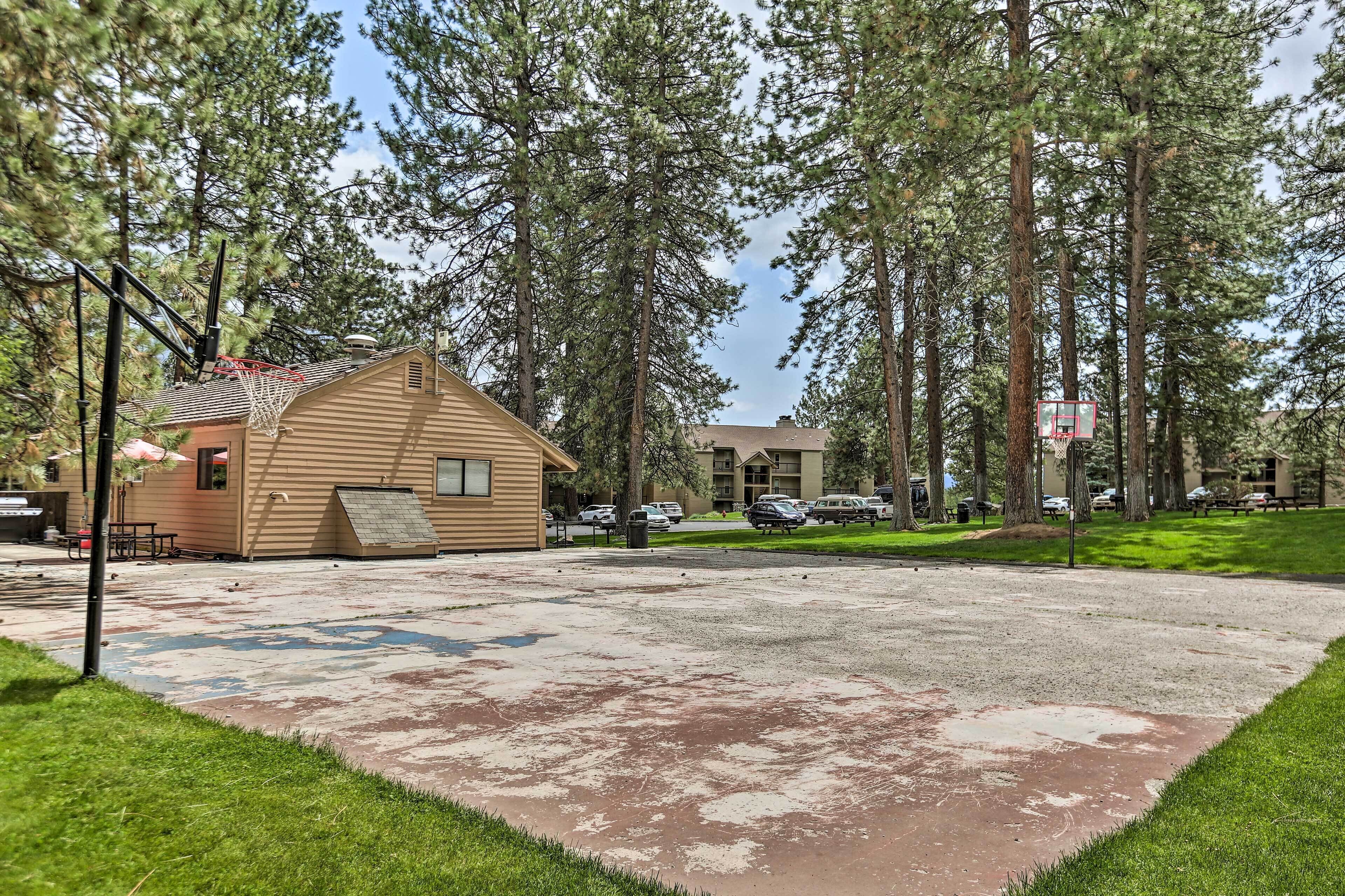 A residential area with a small wooden cabin, a basketball hoop, and a paved driveway.