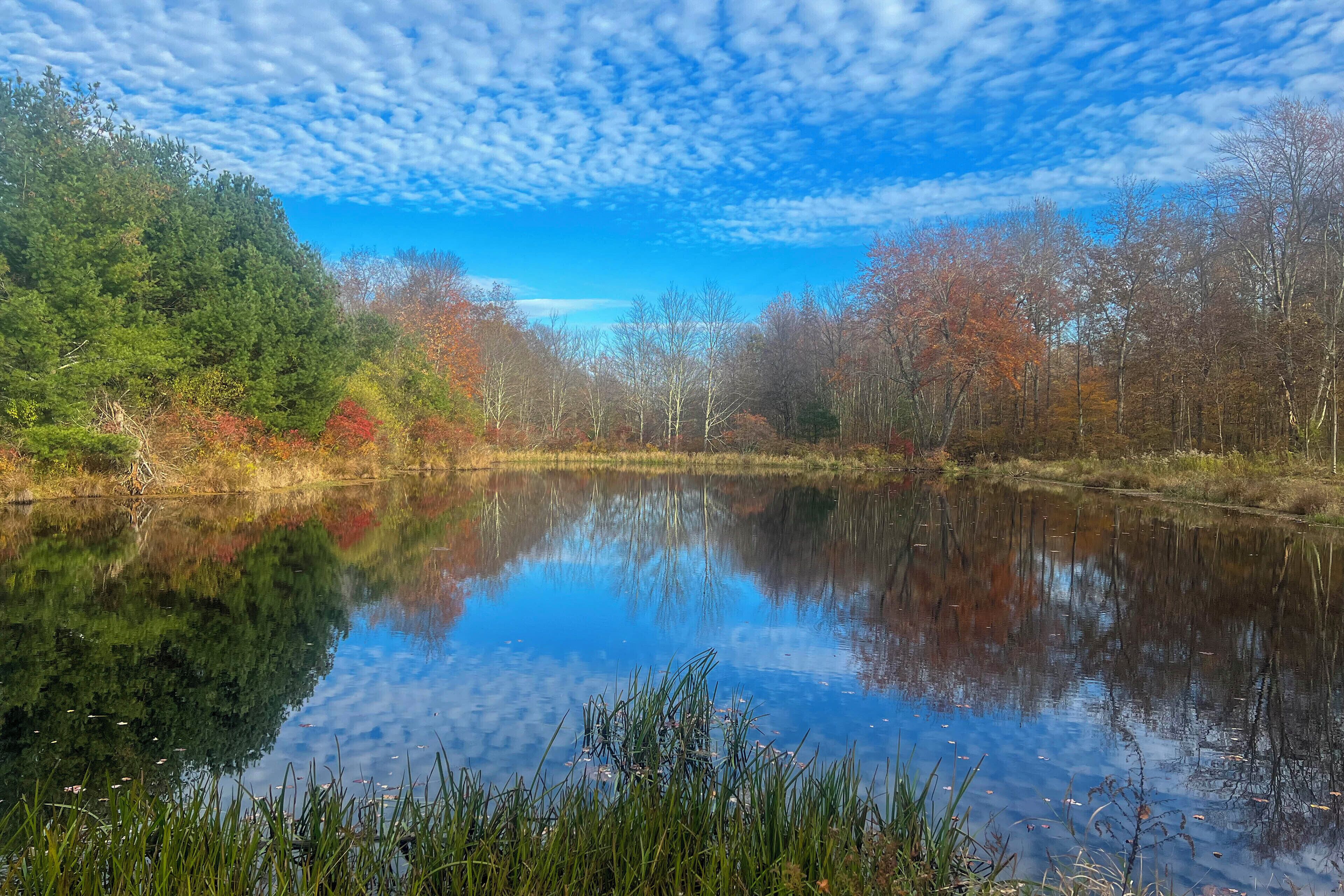 A calm lake surrounded by trees with autumn foliage, reflecting the sky and trees.