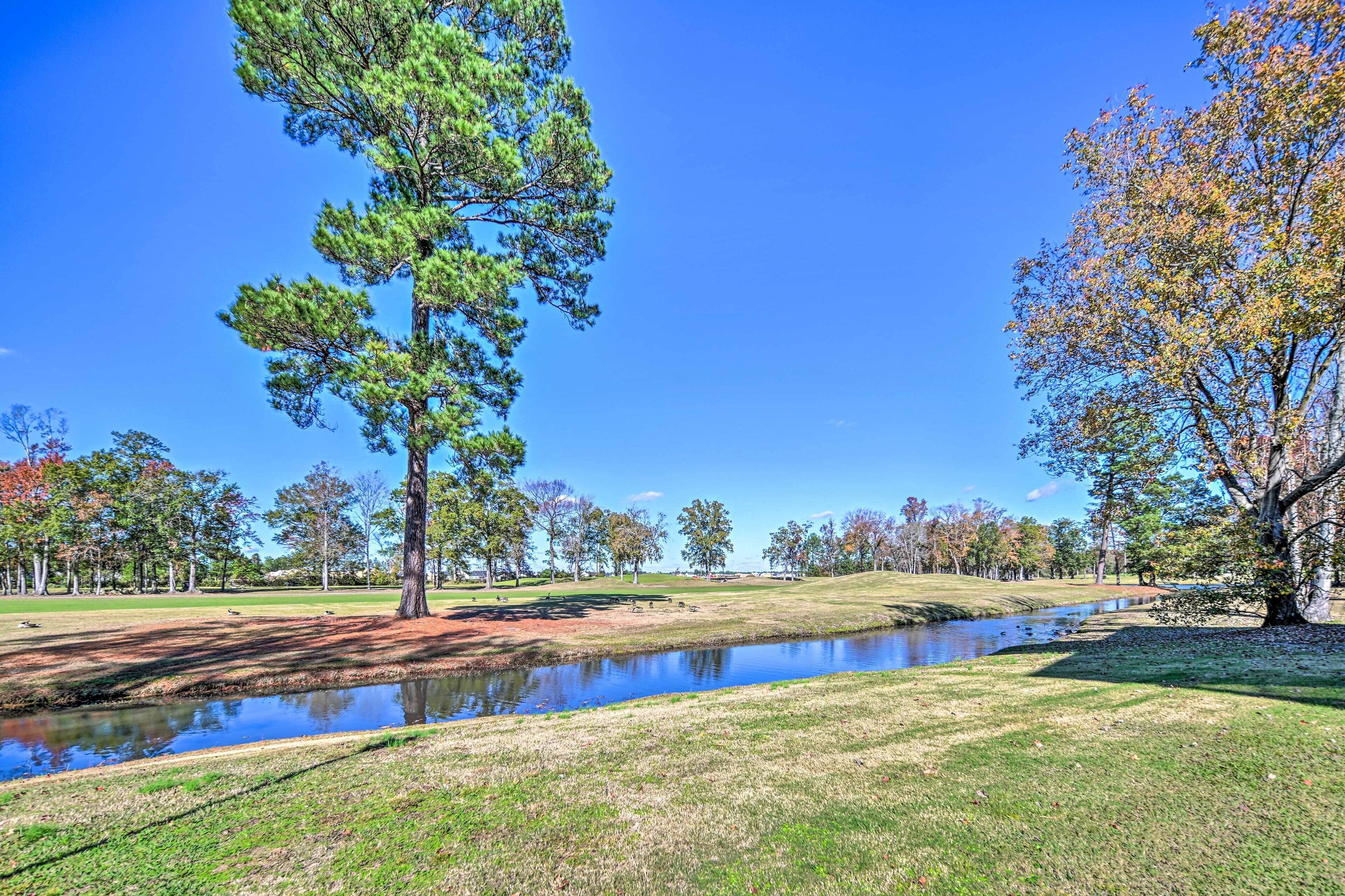 A serene landscape with a pond, trees, and a clear blue sky.