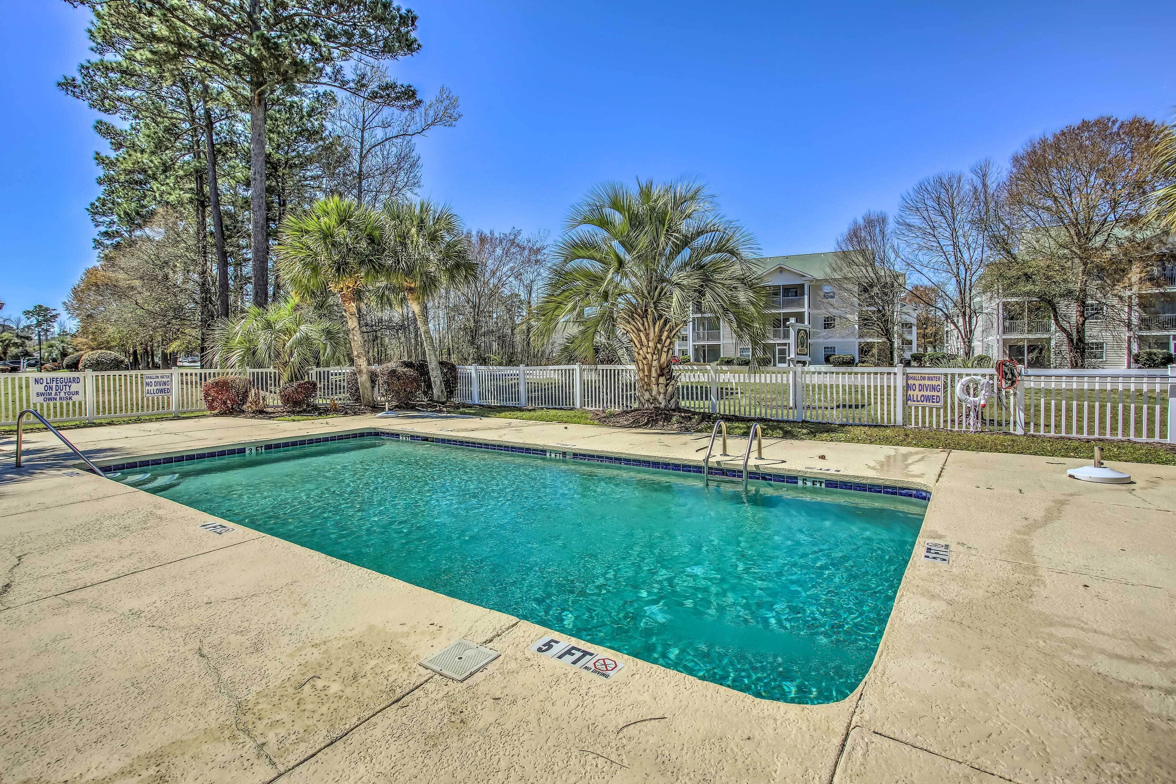 A swimming pool with a white fence, palm trees, and a building in the background.