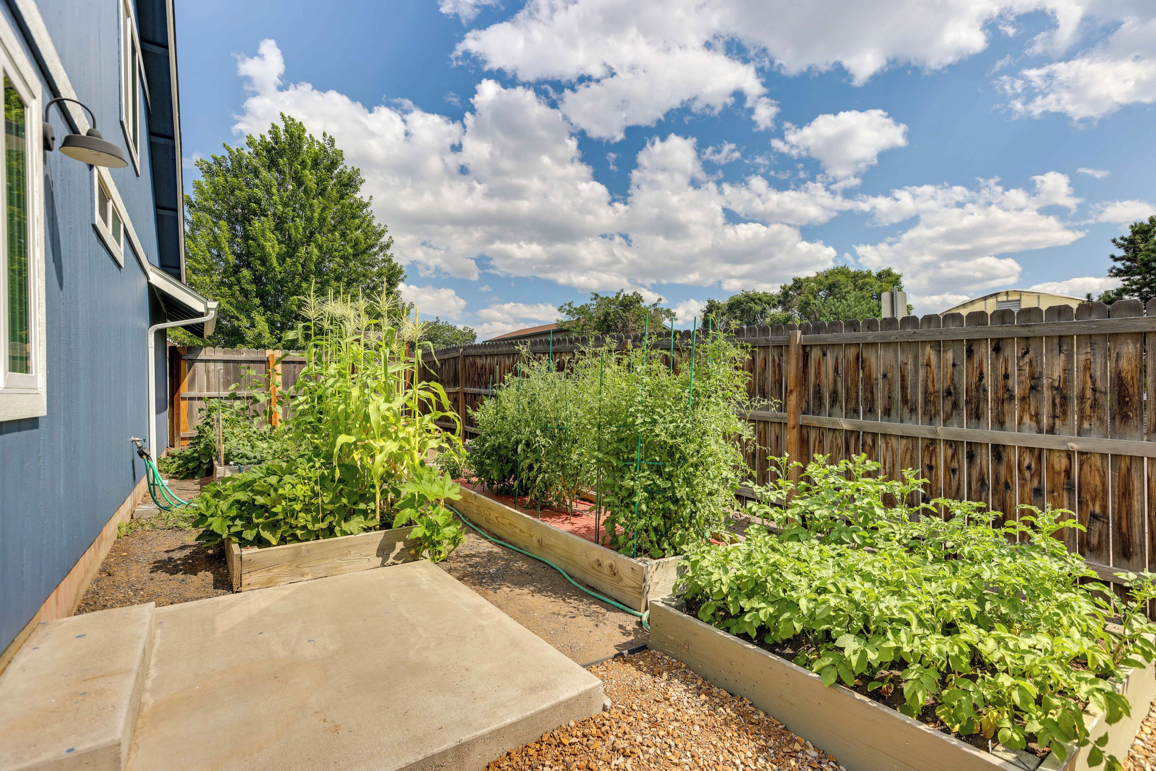 House (4 Bedrooms) | Bahagian dalam