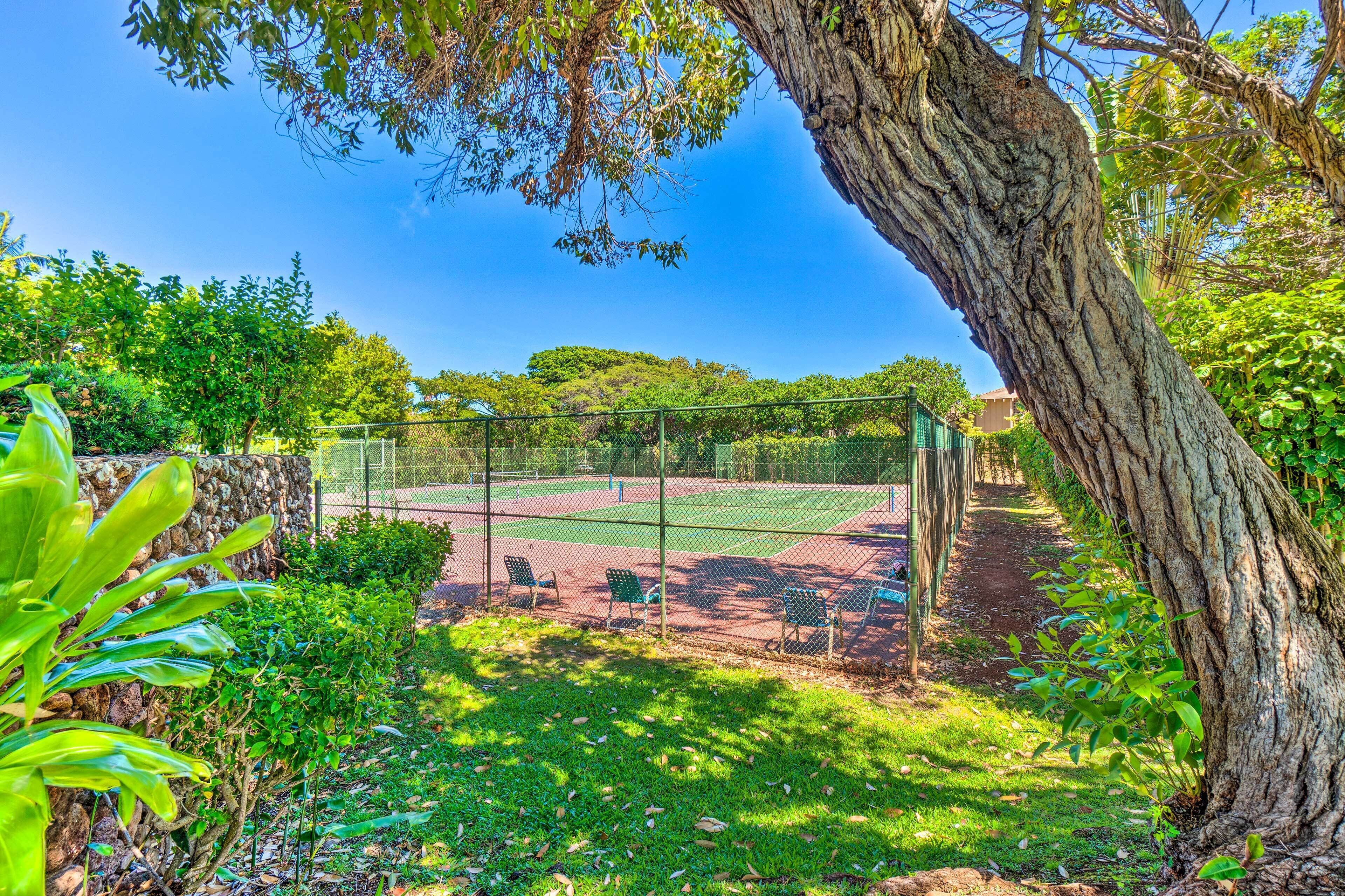 A tennis court surrounded by greenery and trees.