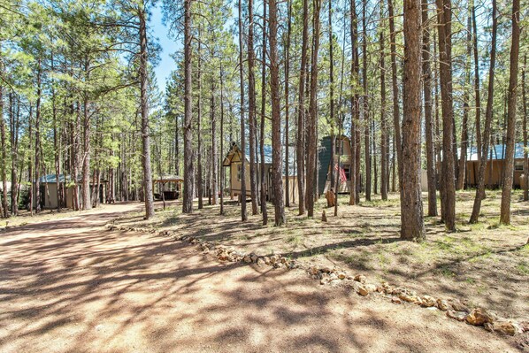 Un camping con varias cabañas rodeado de altos pinos.