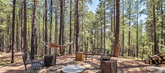 Near Trails: Forest Lake Retreat w/ Backyard Oasis