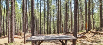Near Trails: Forest Lake Retreat w/ Backyard Oasis
