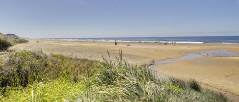 A beach with sand dunes and sparse vegetation.