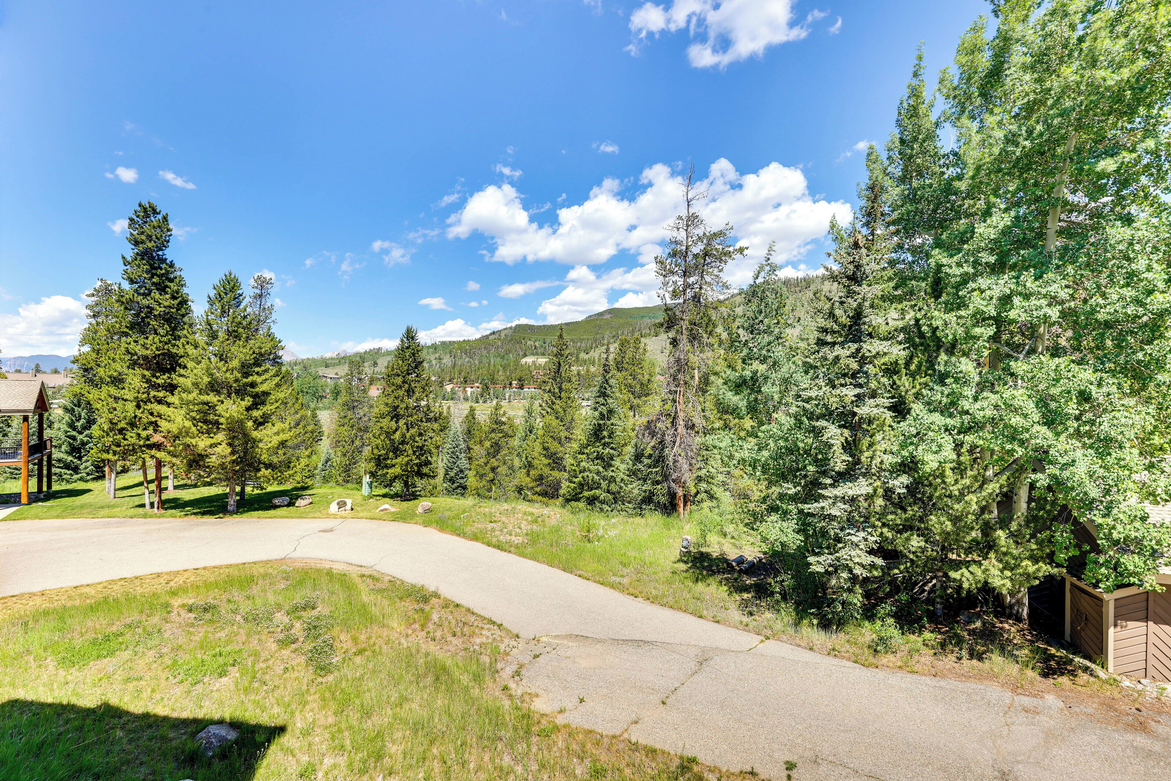 A paved driveway leading to a building surrounded by trees and a clear blue sky.