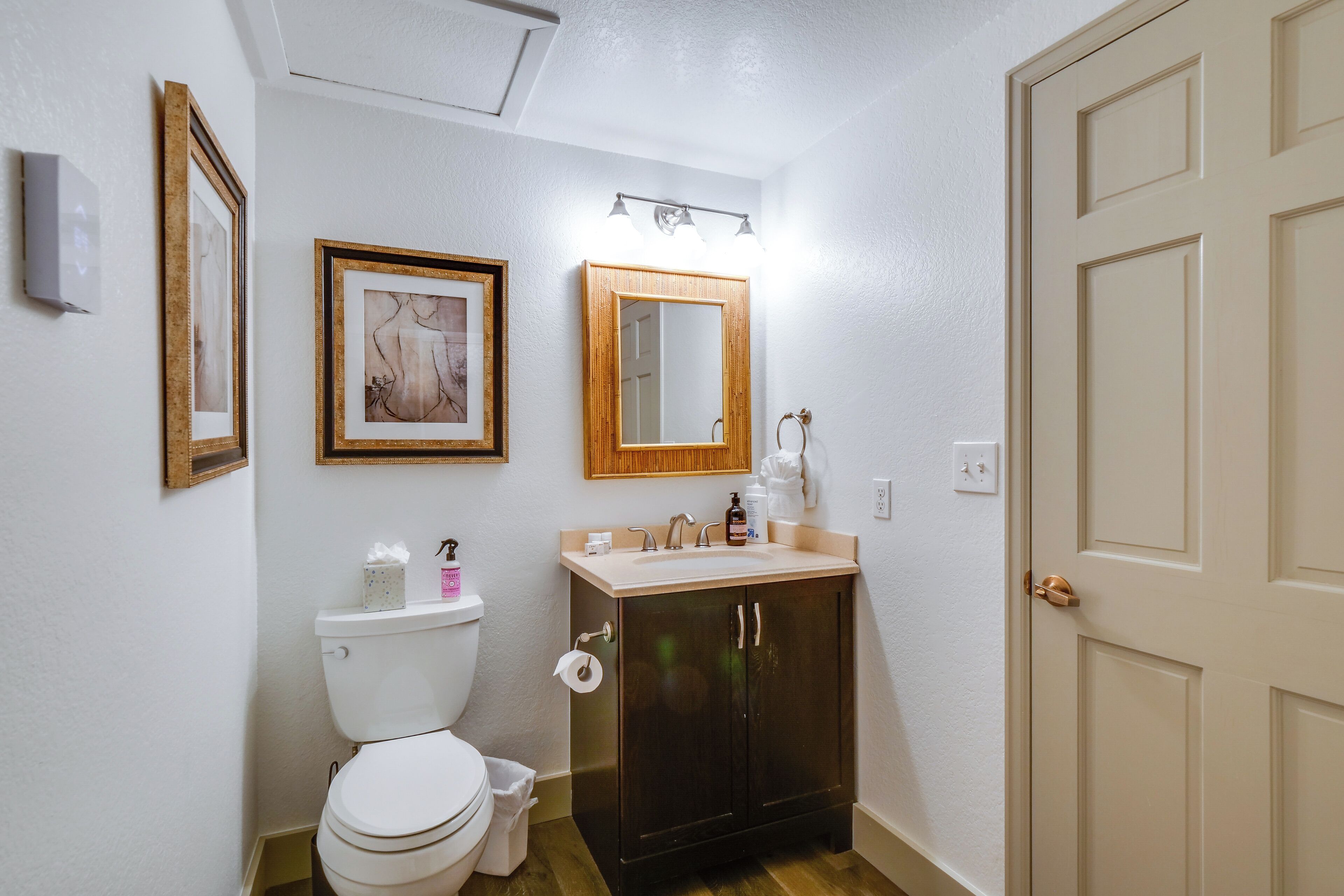 A bathroom with a toilet, sink, mirror, and framed artwork on the wall.
