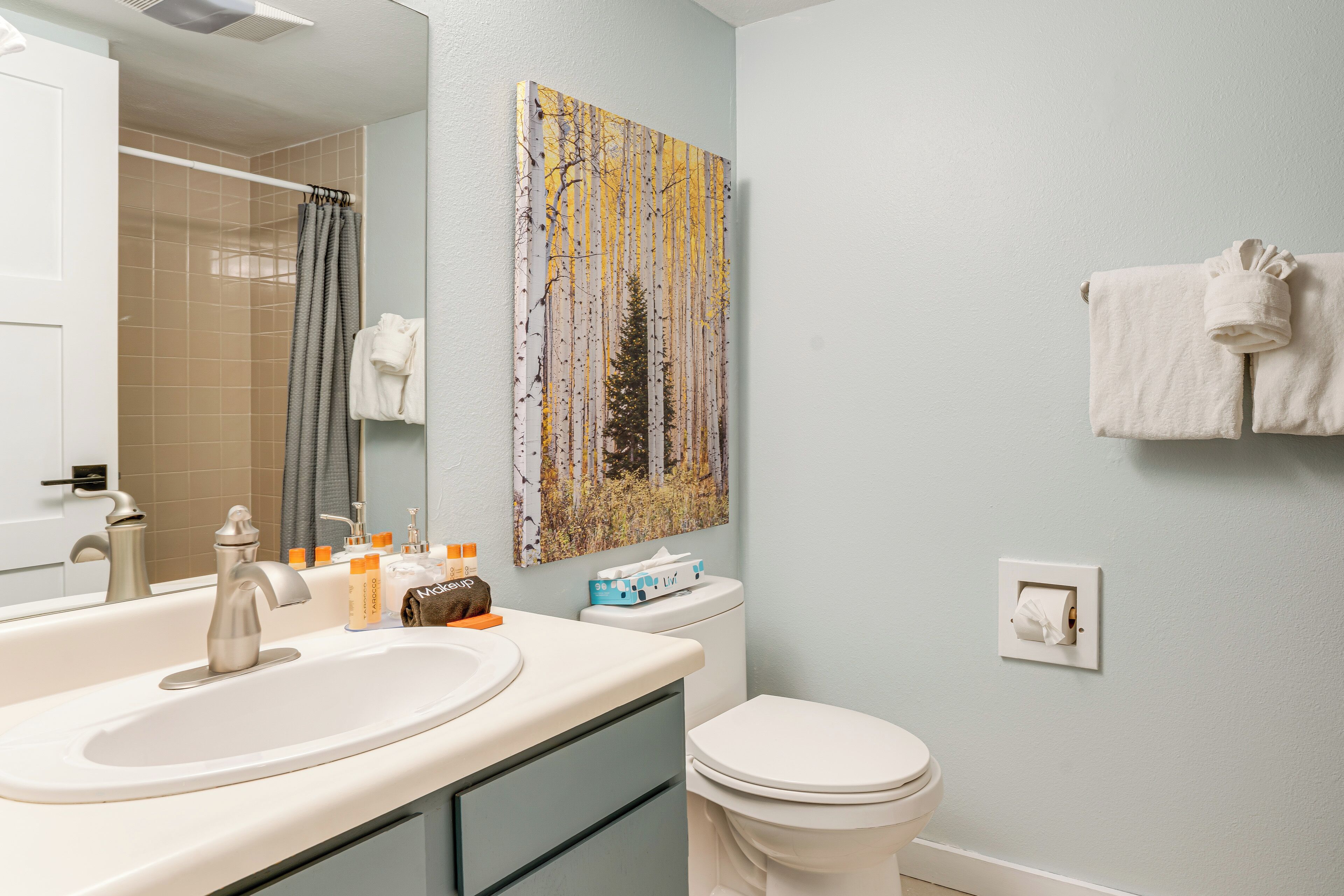 A bathroom with a sink, toilet, and a shower curtain.