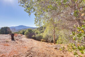 ハウス (1 Bedroom) | 内装