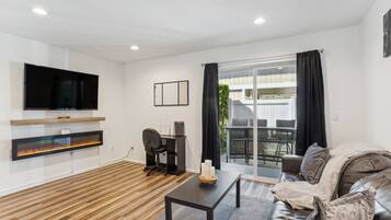 TV, fireplace, video game console, books