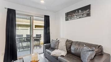 TV, fireplace, video game console, books