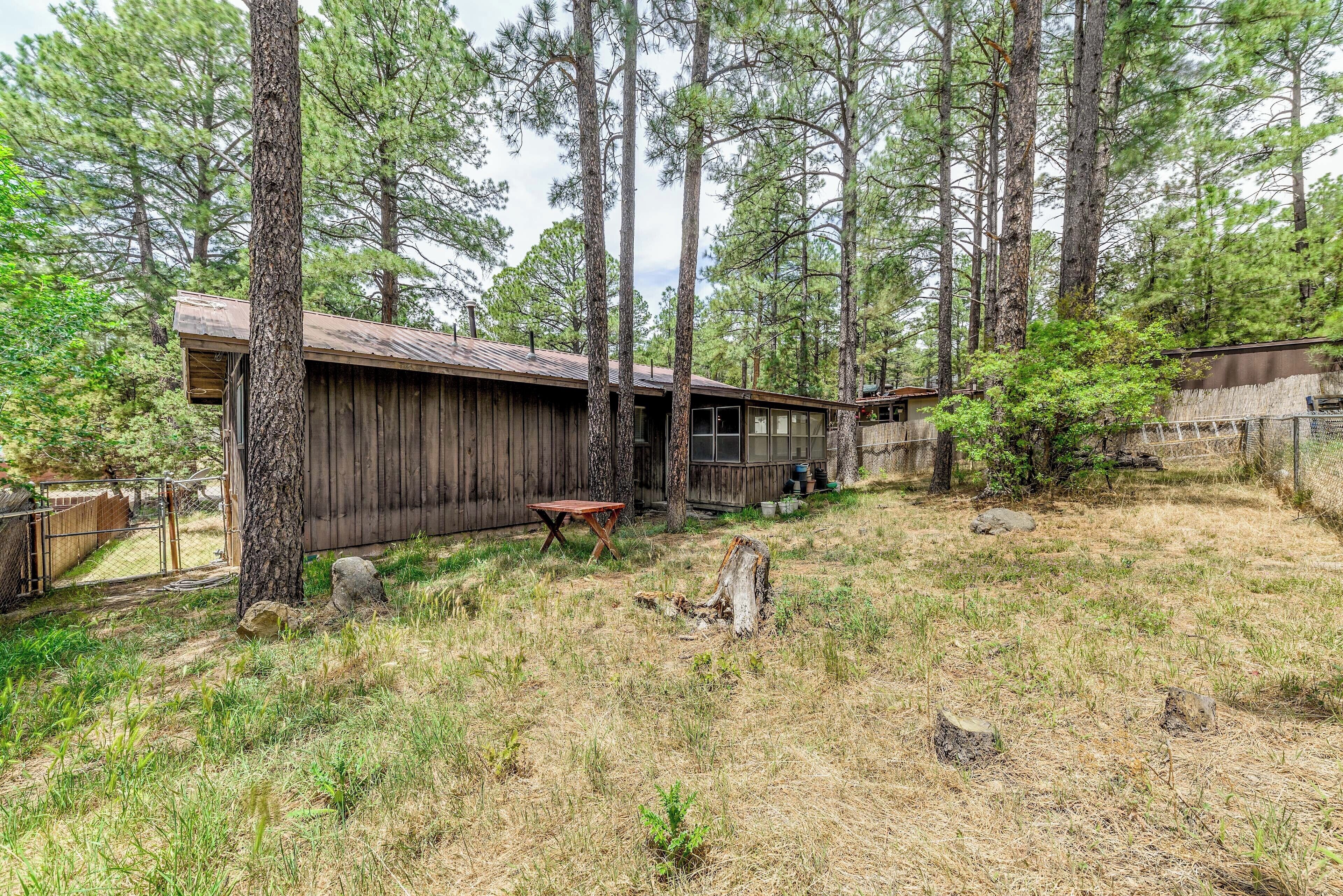 A rustic cabin with a wooden exterior, surrounded by tall pine trees.