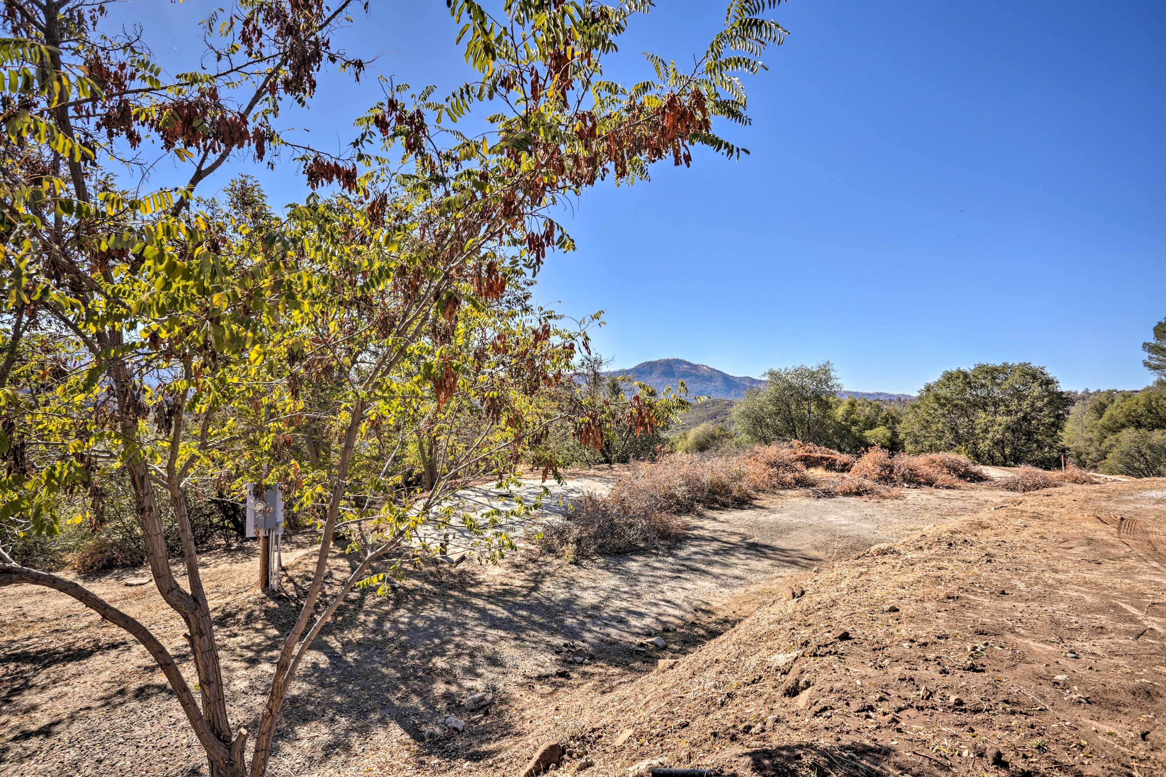 A dry, rocky landscape with sparse vegetation and a clear blue sky.