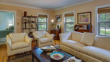 TV, fireplace, books