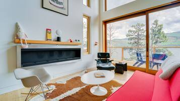 TV, fireplace, books