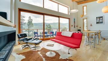 Télévision, cheminée, livres