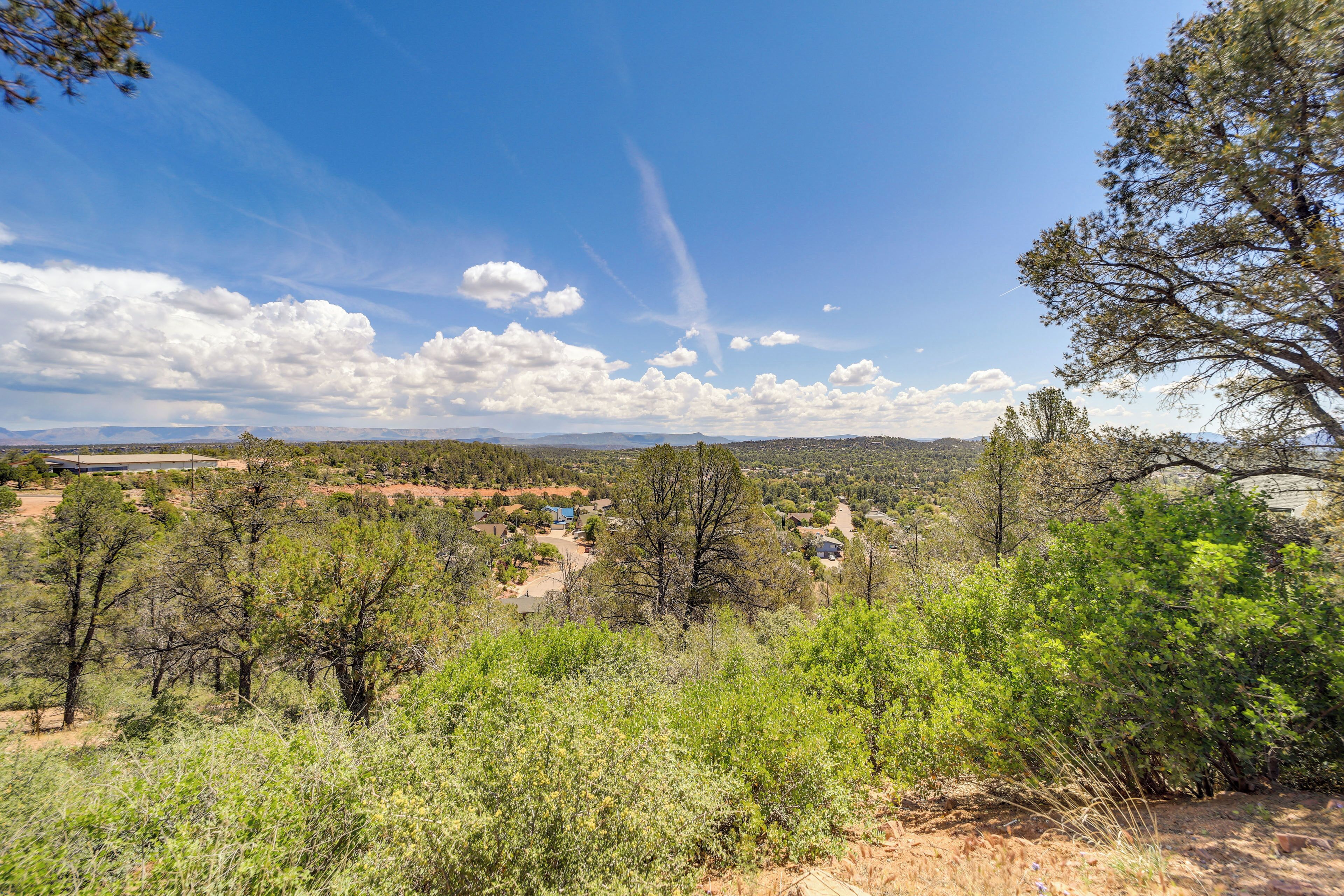 A landscape view with trees, a clear sky, and distant buildings.
