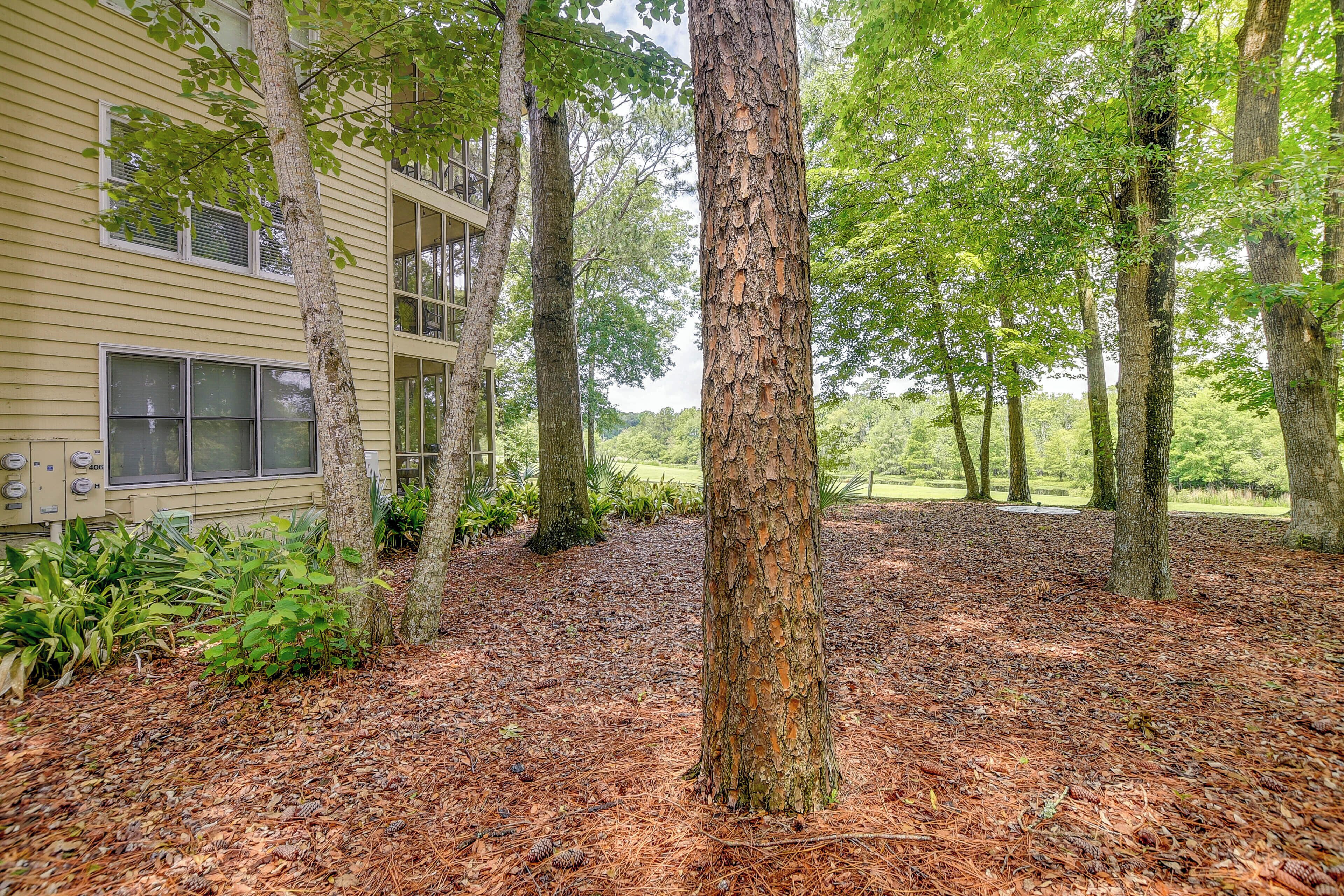 A building surrounded by a forested area with a ground covered in pine needles.