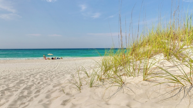 Une plage avec des dunes de sable et un ciel bleu dégagé.